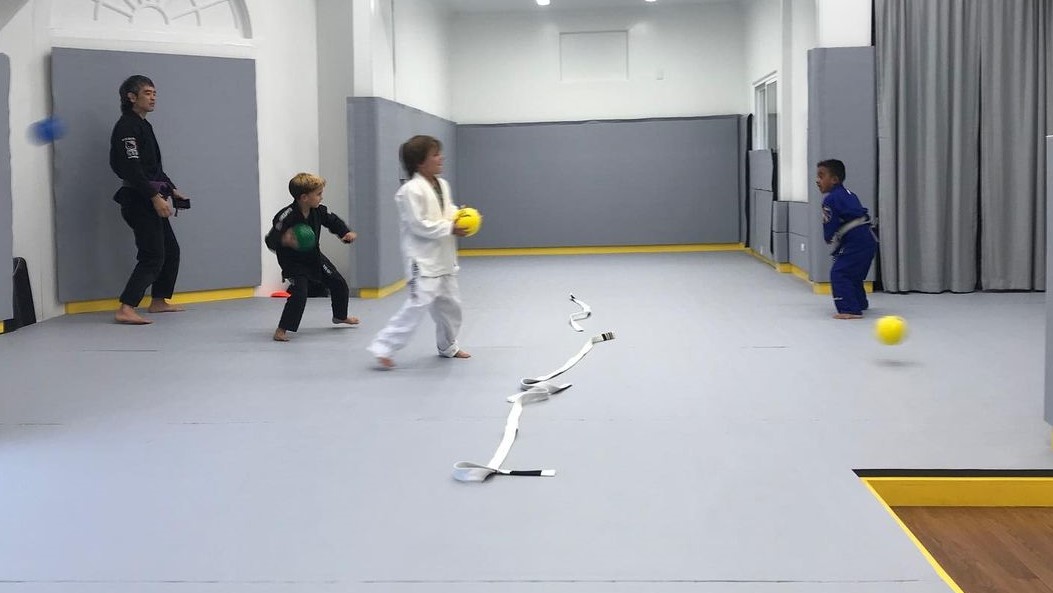 Silver Fox Jiu Jitsu - Overcoming Obstacles